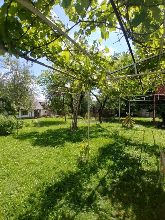 Апартаменты Live like a local in Central Gabala Габала-26